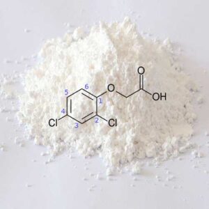 2,4D - 2,4-Dichlorophenoxyacetic acid - powder/gram