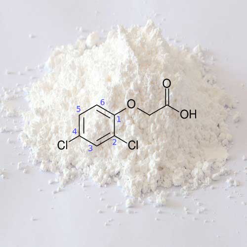 2,4D - 2,4-Dichlorophenoxyacetic acid - powder/gram