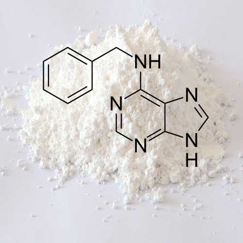 6-Benzylaminopurine (BAP) - powder/gram
