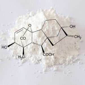 GA3 - Gibberellic acid - powder/gram