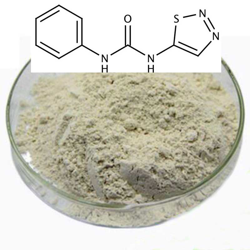 TDZ - Thidiazuron - powder/gram