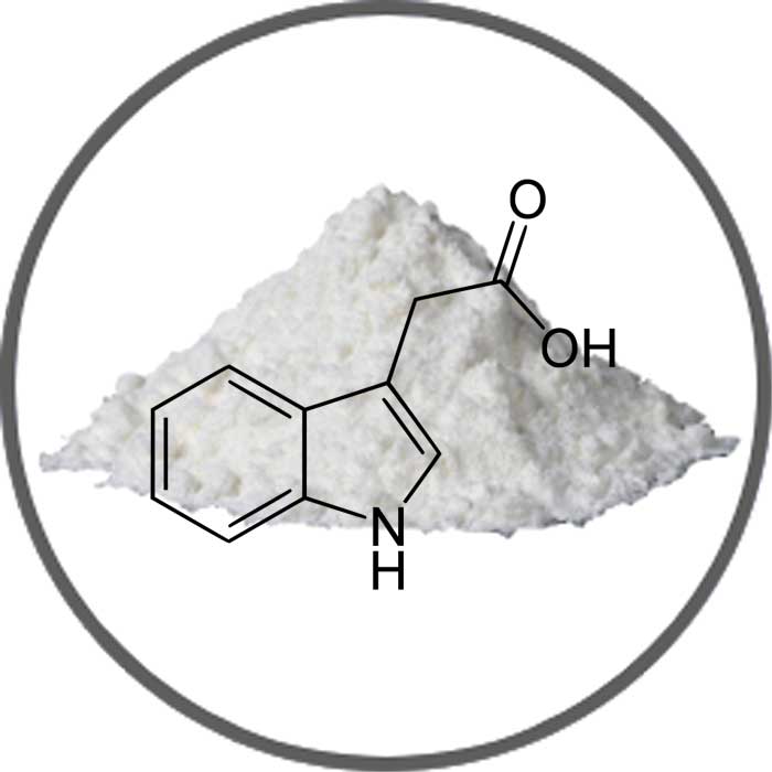 IAA - Indole-3-acetic acid - 100ml