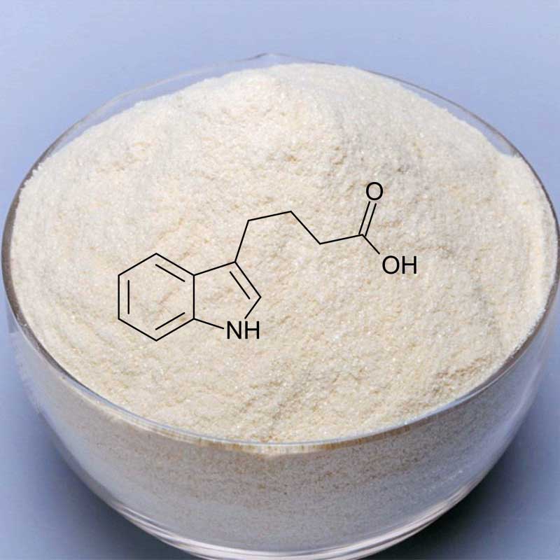 IBA - Indole-3-butyric acid - powder/gram