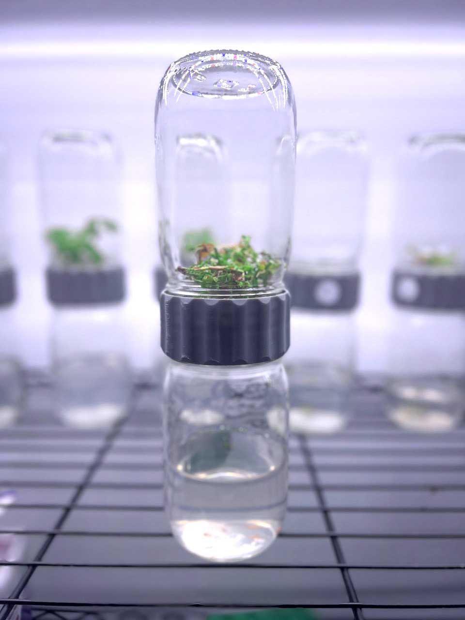 Biocoupler™ - without jars